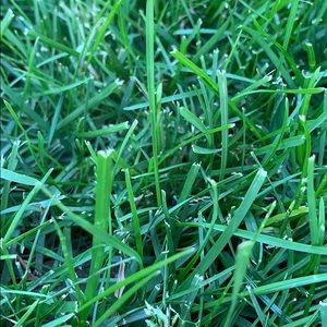 Meet your Posher, Karissa m